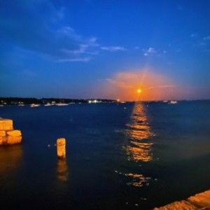 Meet your Posher, Audrey